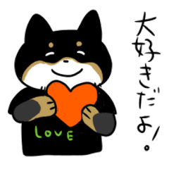 [LINEスタンプ] ニャンコのことが大好きな黒柴さん