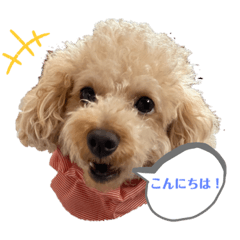 [LINEスタンプ] ショコラとふう