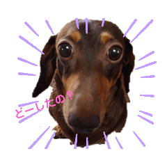 [LINEスタンプ] まろさんともんちゃんpart3