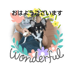 [LINEスタンプ] 犬のチョコ君