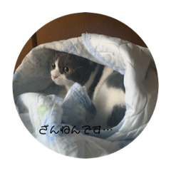 [LINEスタンプ] むぎpart3