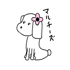 [LINEスタンプ] マルチーズのまるこ