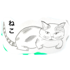 k.nオリジナル