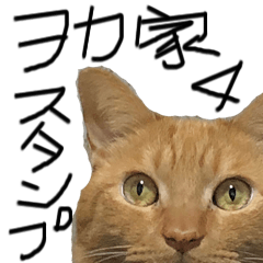 [LINEスタンプ] ヲカ家ニャンズ4