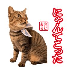 [LINEスタンプ] KIJIMARUスタンプ Part3