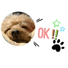 [LINEスタンプ] プーの日常。