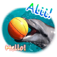 パラオのイルカスタンプ Dolphins Pacific