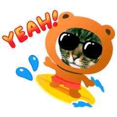 [LINEスタンプ] 面白いスタンプ猫