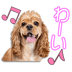 [LINEスタンプ] 山口家のあられちゃん