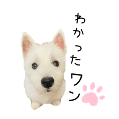 [LINEスタンプ] 大福スタンプ4