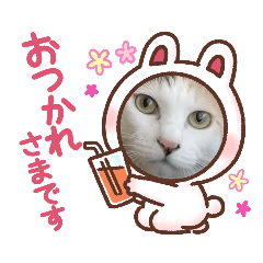 [LINEスタンプ] アーユルキャット4