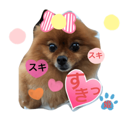 [LINEスタンプ] ポメポメちゃん仲間達 ❷ 2020