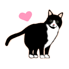 [LINEスタンプ] ねこ（くろ）の日常スタンプ