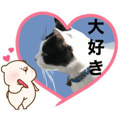 [LINEスタンプ] パンちゃんありがと〜