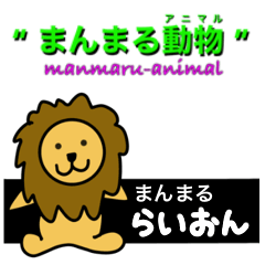 [LINEスタンプ] まんまるらいおんのスタンプです。