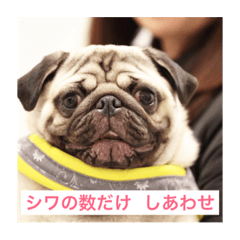 [LINEスタンプ] くさか動物病院シリーズ②