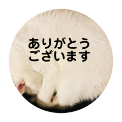 [LINEスタンプ] ろろスタンプ丸
