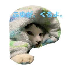 [LINEスタンプ] ねこねこ、すたんぷ。
