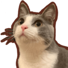 [LINEスタンプ] ちくわ猫スタンプ！
