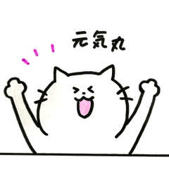 [LINEスタンプ] まっしろねこしゃんの毎日スタンプ