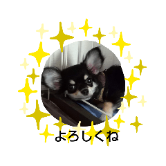 [LINEスタンプ] 犬のチョコ君2