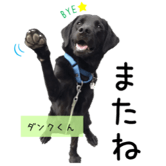 [LINEスタンプ] 日本介助犬協会かわいいワンちゃんスタンプ