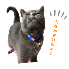 [LINEスタンプ] ひまさんとまろさんの日常(part3)
