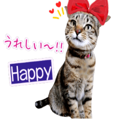 [LINEスタンプ] ねころぶNo.2