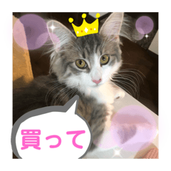 [LINEスタンプ] 可愛いリリースタンプ 2