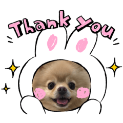 [LINEスタンプ] ポメラニアン☆レイン②