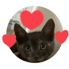 [LINEスタンプ] ゆかいな仲間たち(アグルム、メルム、福丸)