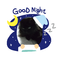[LINEスタンプ] 仲良しキャットファミリー16