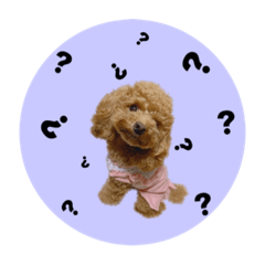[LINEスタンプ] ペッコ