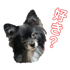 [LINEスタンプ] レオちゃん②