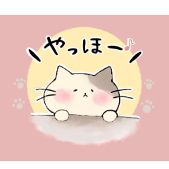 [LINEスタンプ] ほっこり日常スタンプ①-ねこ-