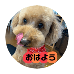 [LINEスタンプ] 高橋家のハルくん