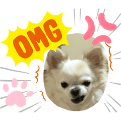 [LINEスタンプ] 我が家のキュートくん   10