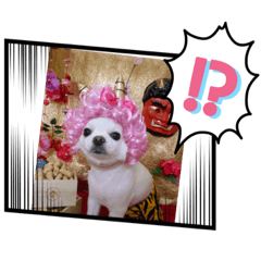[LINEスタンプ] 我が家のキュートくん！ 11