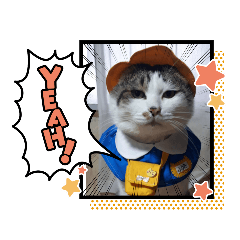 [LINEスタンプ] イケメン風太の日常会話