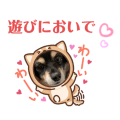 [LINEスタンプ] LOVE チワックス 3