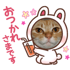 [LINEスタンプ] haru0316