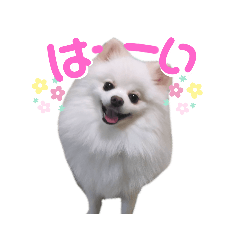 [LINEスタンプ] ゆりししまるくん③