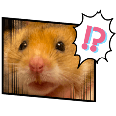 [LINEスタンプ] ナルトくんとミリムちゃん