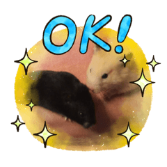 [LINEスタンプ] ちょてたん