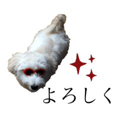 [LINEスタンプ] マルックスのバロンくん 2