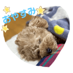 [LINEスタンプ] ちゃ〜ちゃん♡