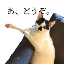 [LINEスタンプ] 香辛料ファミリー④