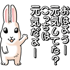 [LINEスタンプ] 口数の多いうさぎ