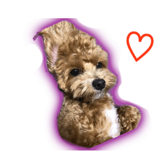 [LINEスタンプ] MARIA スタンプ