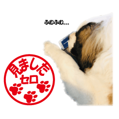 [LINEスタンプ] セントバーナードのセロ2